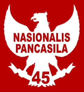 Logo NasPan45